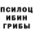 Псилоцибиновые грибы MAGIC MUSHROOMS henderson kiebler