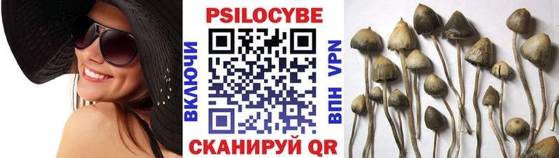 Псилоцибиновые грибы GOLDEN TEACHER  Купить  Верхотурье 